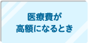 医療費が高額になるとき